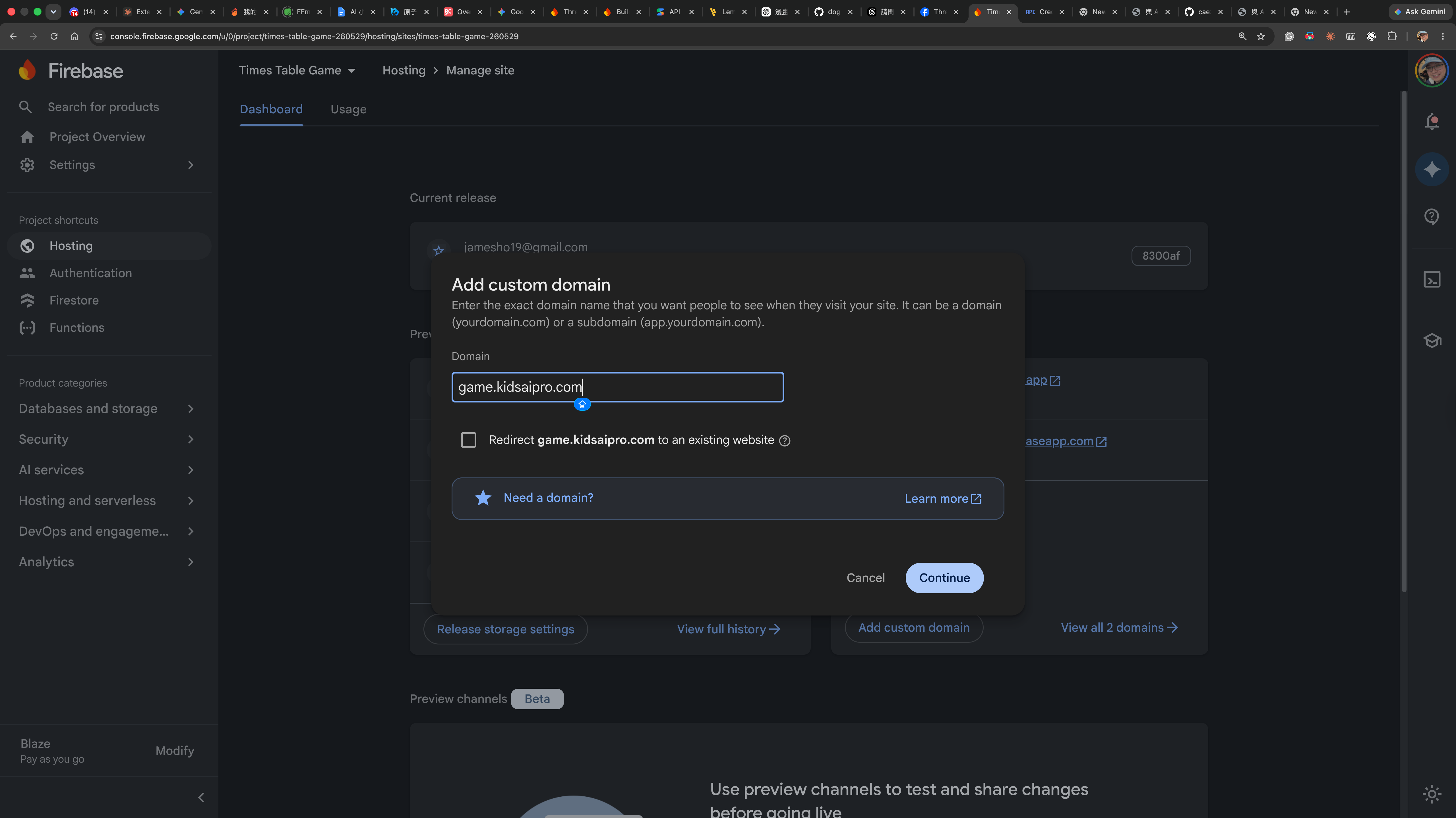 Firebase 自訂網域面板
